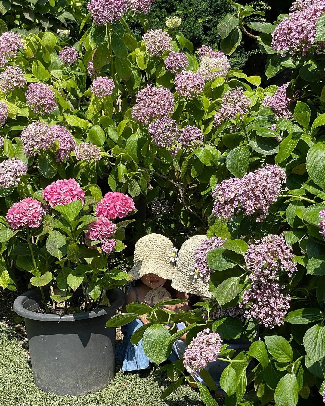 ユルボム植物園 写真 6