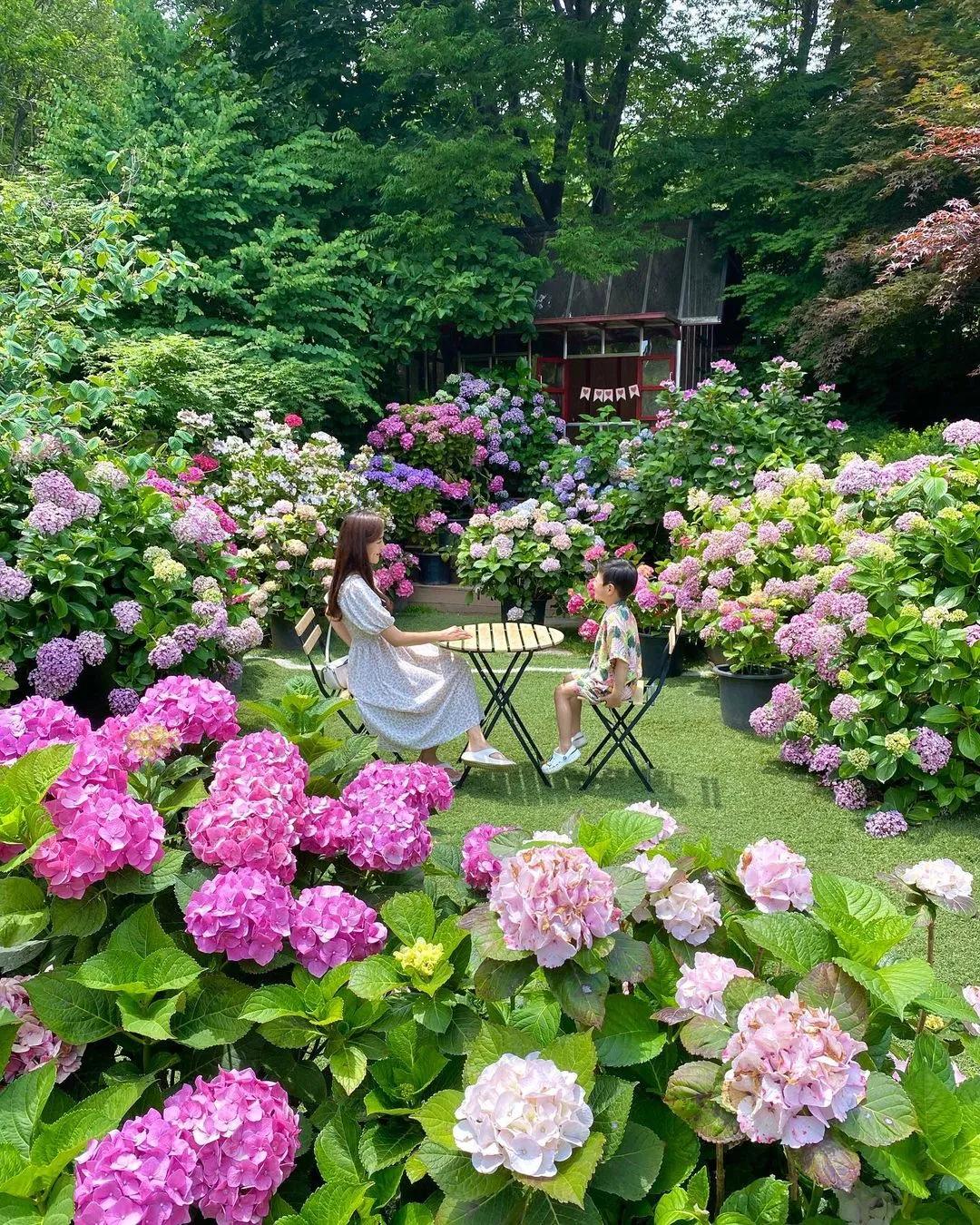 ユルボム植物園 写真 7