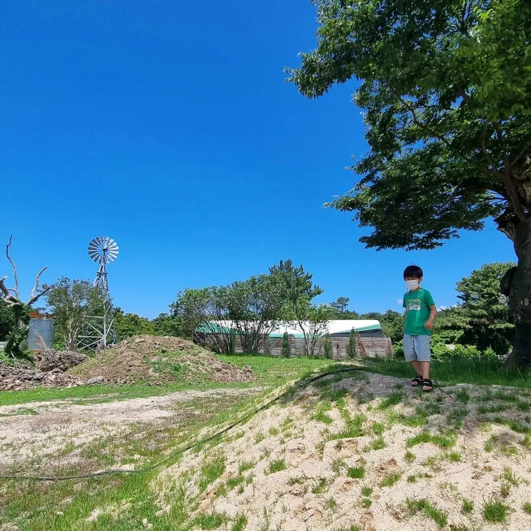 済州羊牧場 写真 8