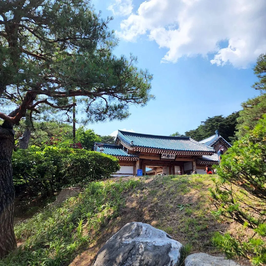 청와대 사진 6
