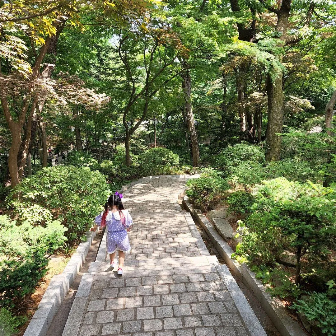 청와대 사진 7