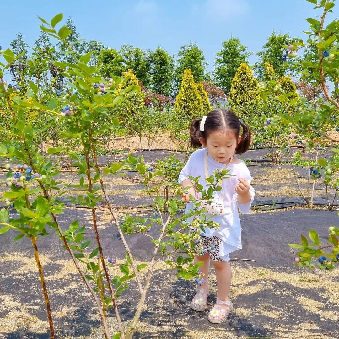 ハムナ庭園 写真 6