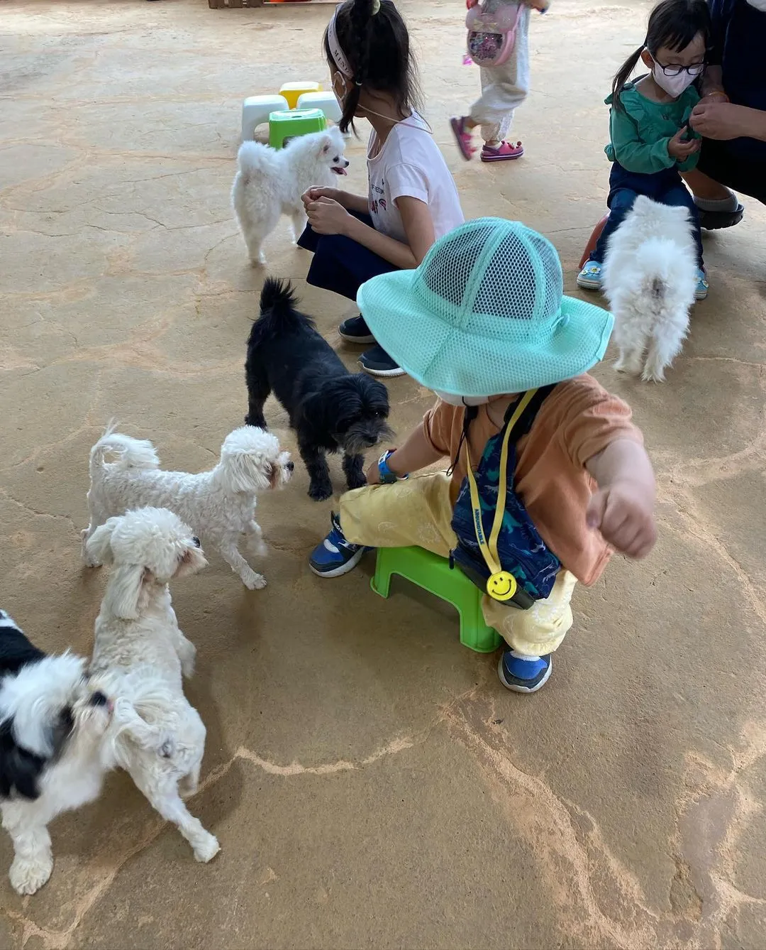 할아버지 동물농장