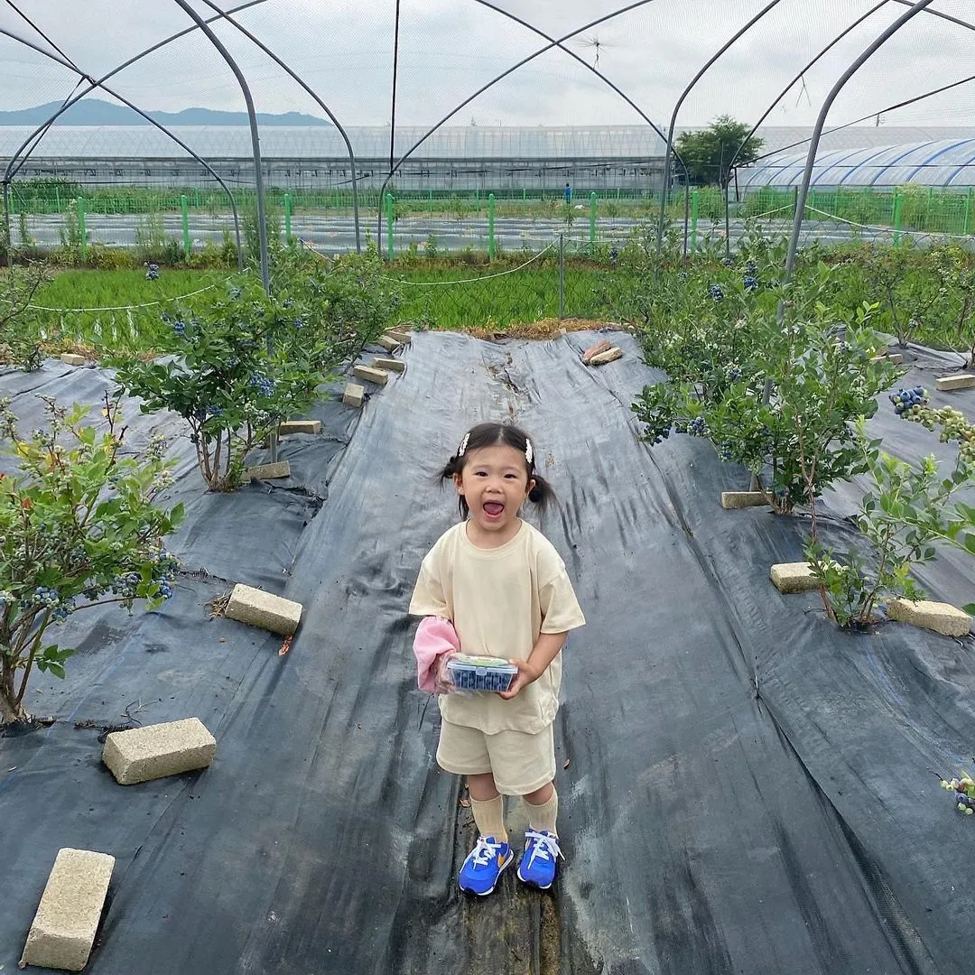 幸せな菜園 写真 6