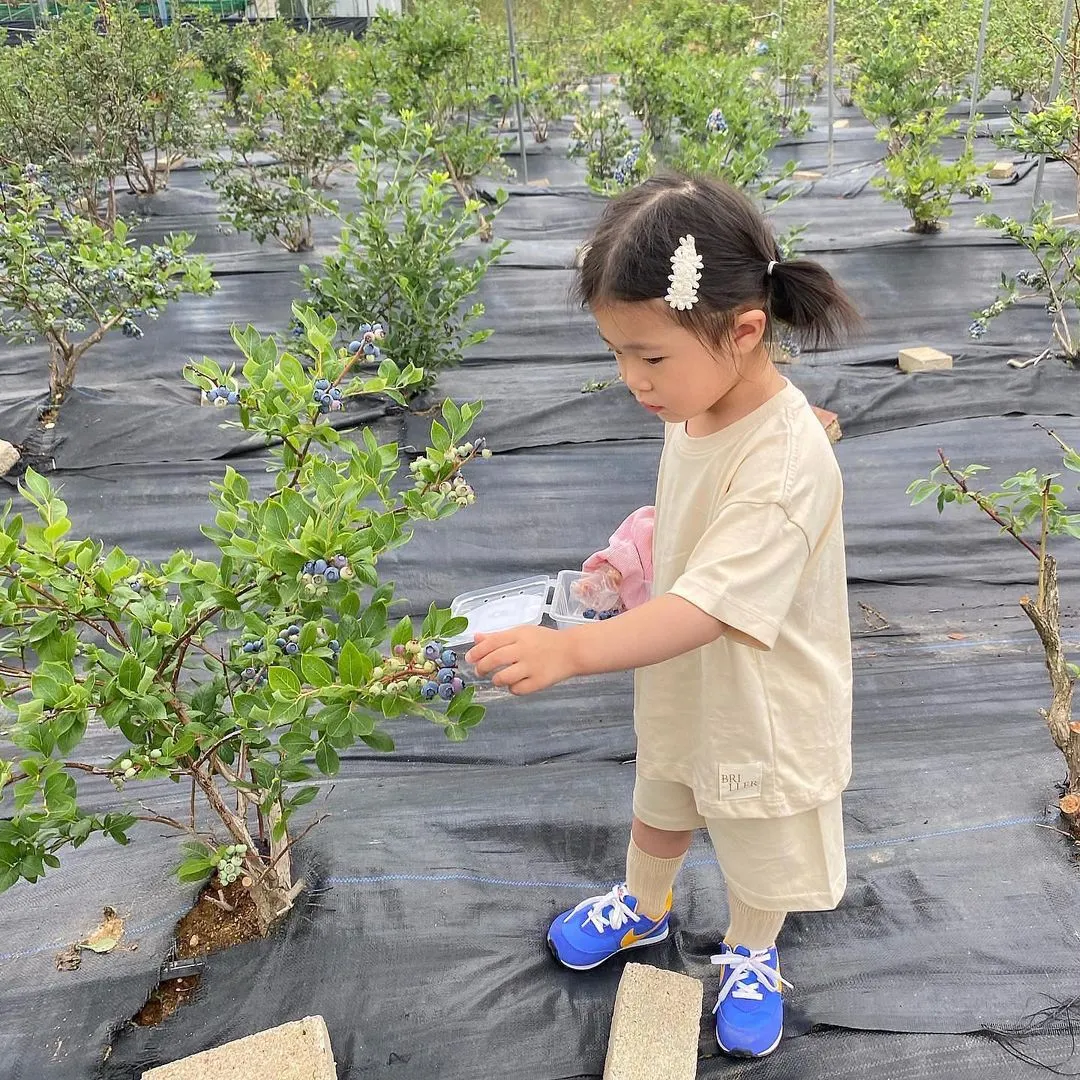 幸せな菜園 写真 8