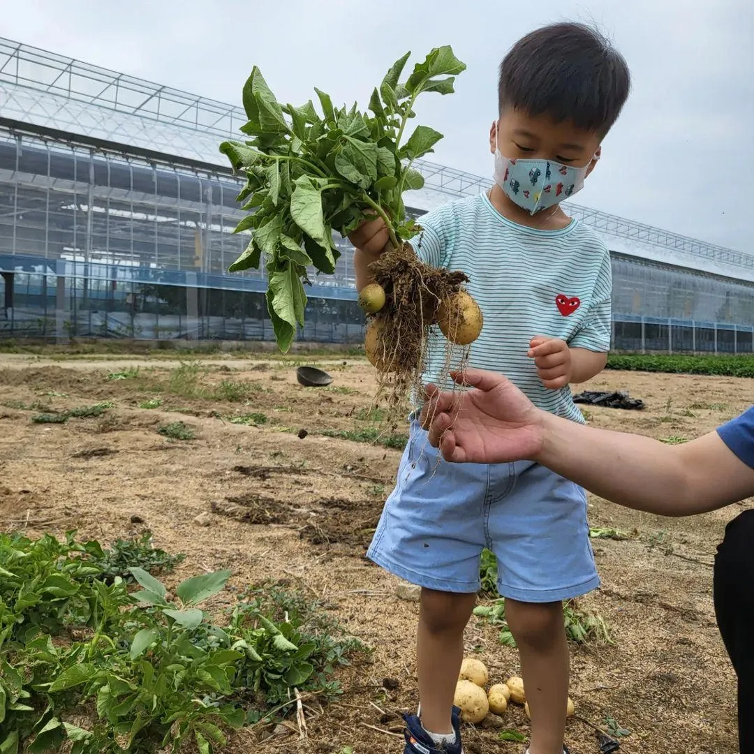 幸せな菜園 写真 9