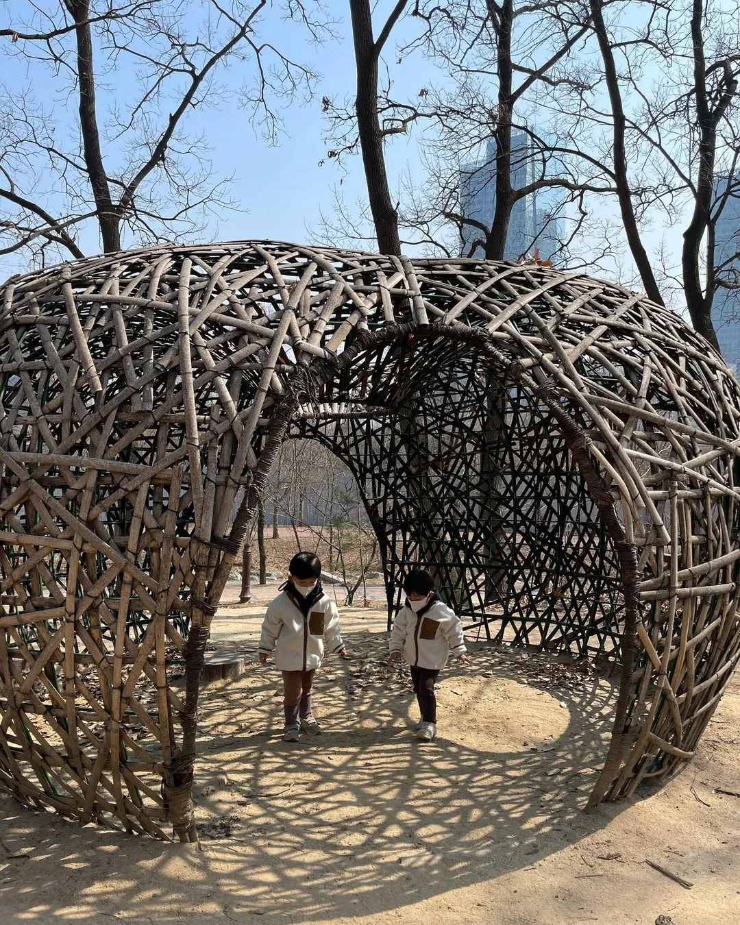 Alkong Dalkong Infant Forest Experience Center photo 10