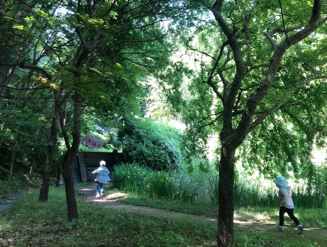 Alkong Dalkong Infant Forest Experience Center photo 14