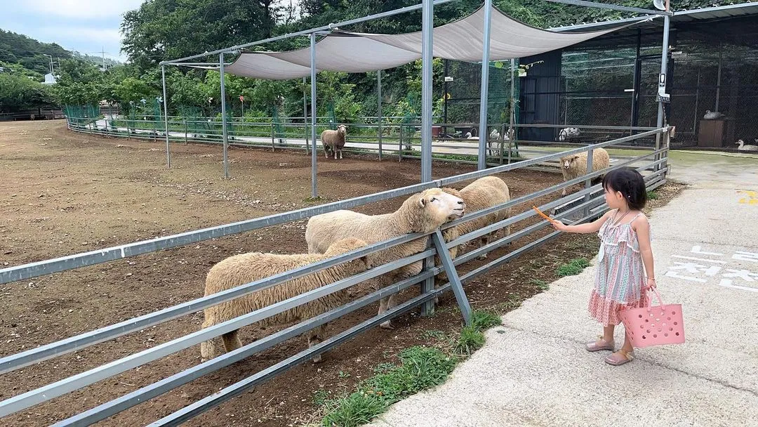 한우드림 동물체험장