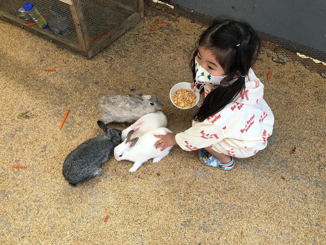 한우드림 동물체험장