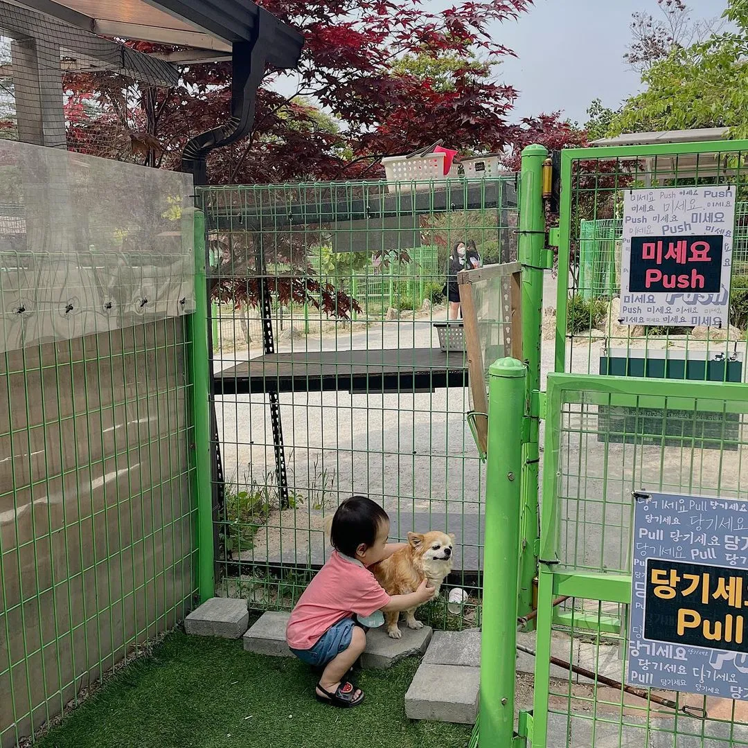 아침고요가족동물원