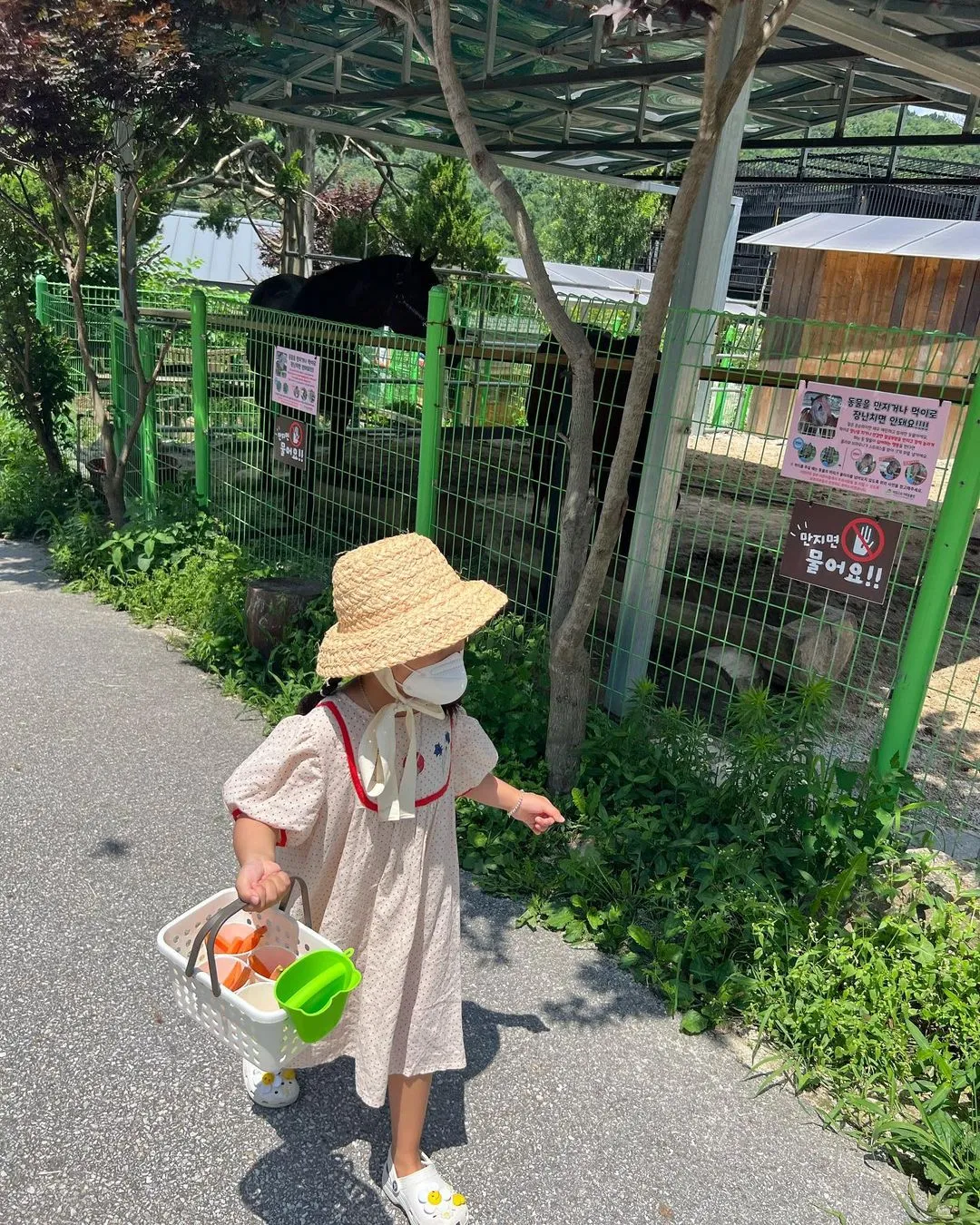 아침고요가족동물원 사진 6