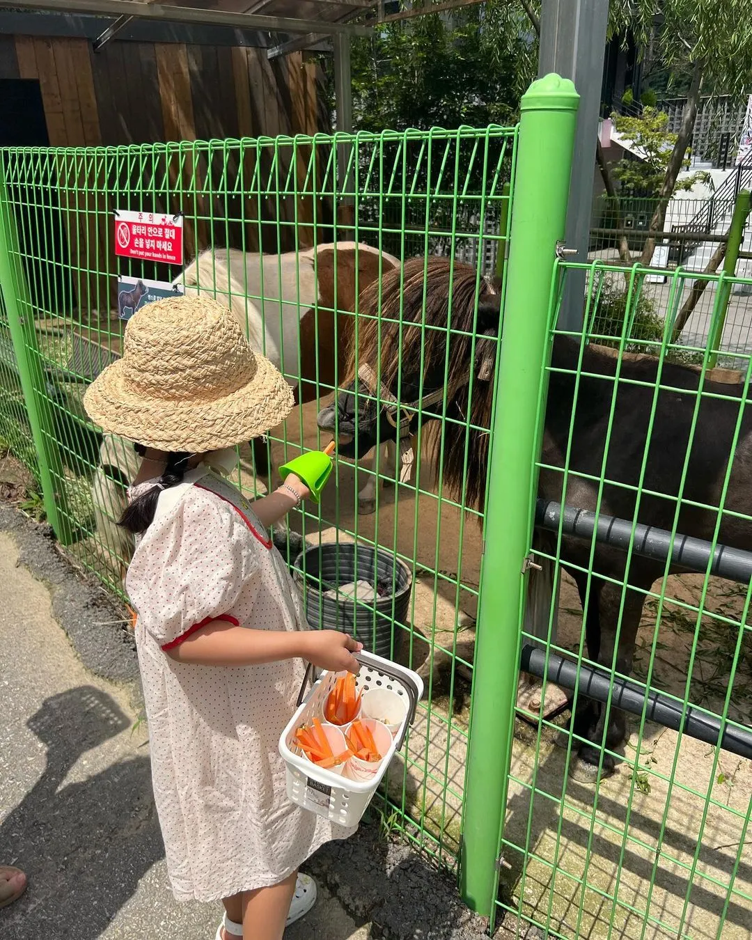 아침고요가족동물원 사진 7