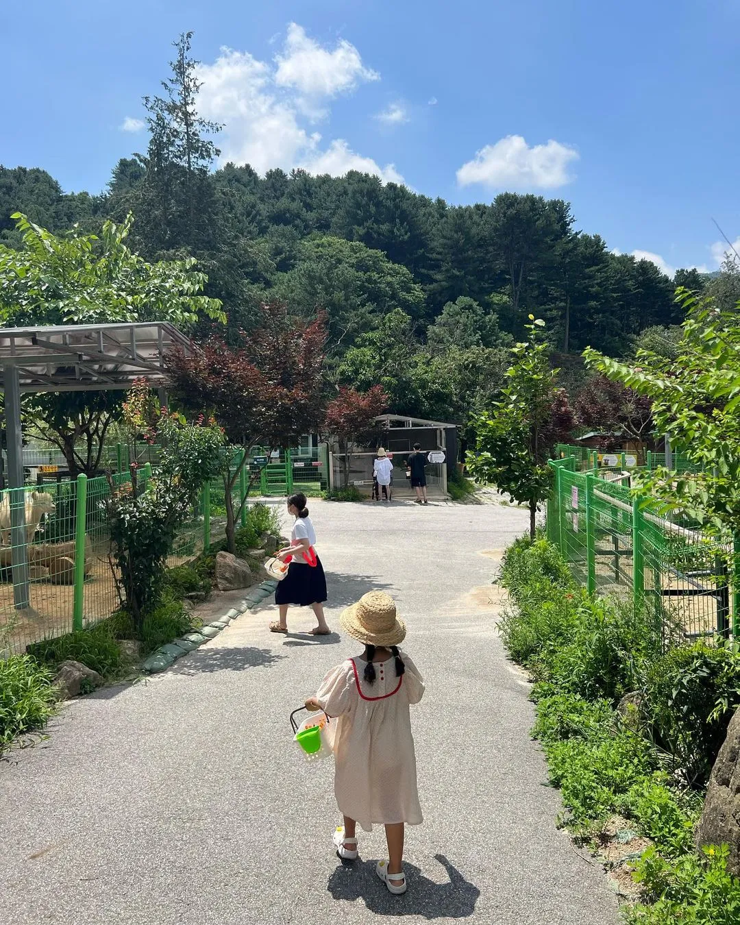 아침고요가족동물원 사진 8