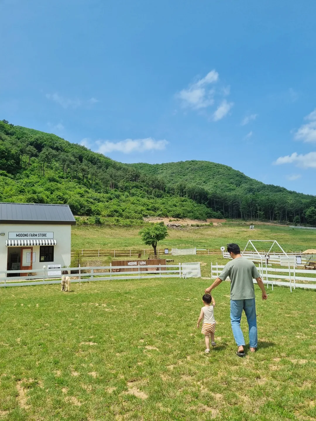 모동목장
