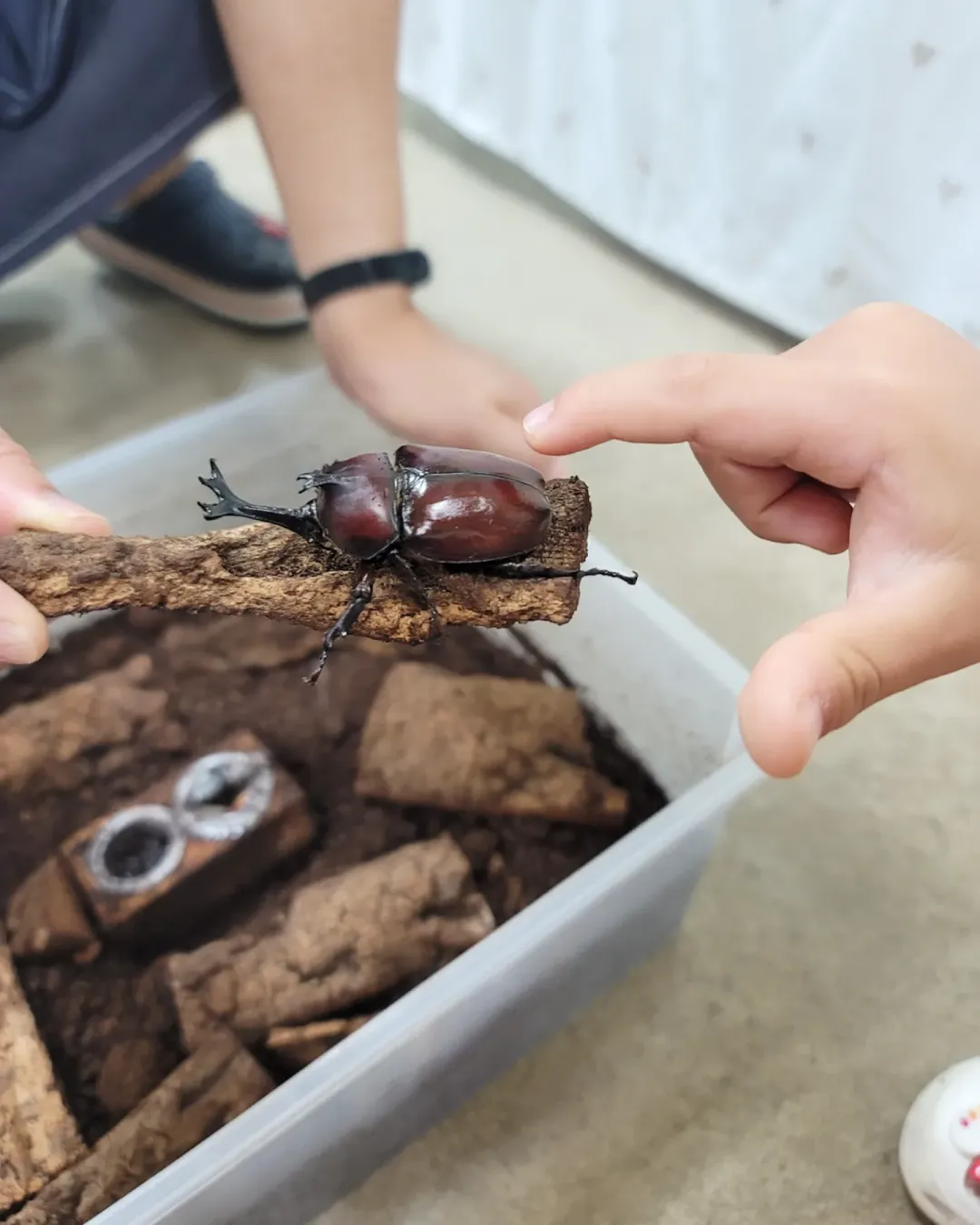 오세창곤충체험농장 사진 6