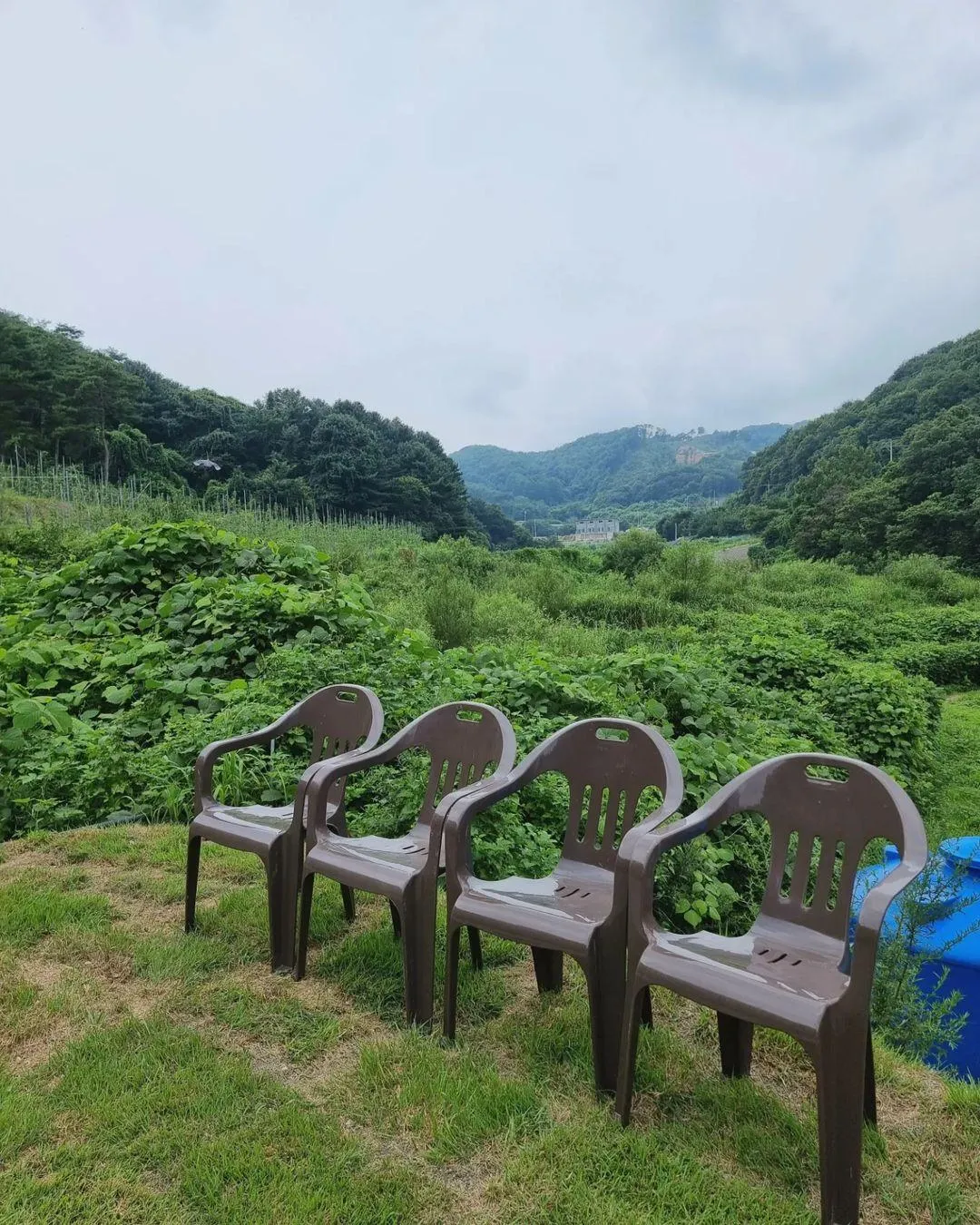 루비숲 사진 22