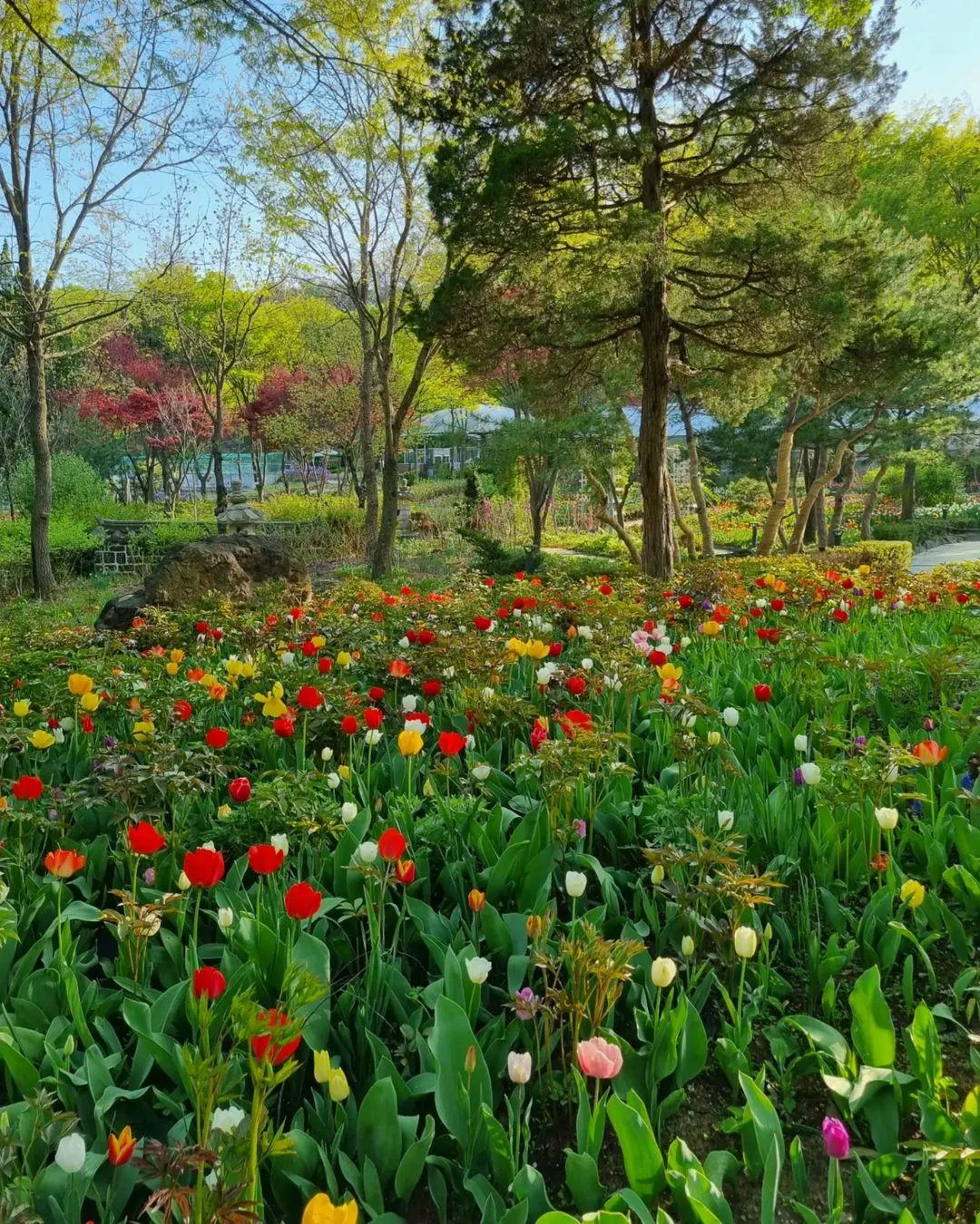 新丘大学植物園 写真 8