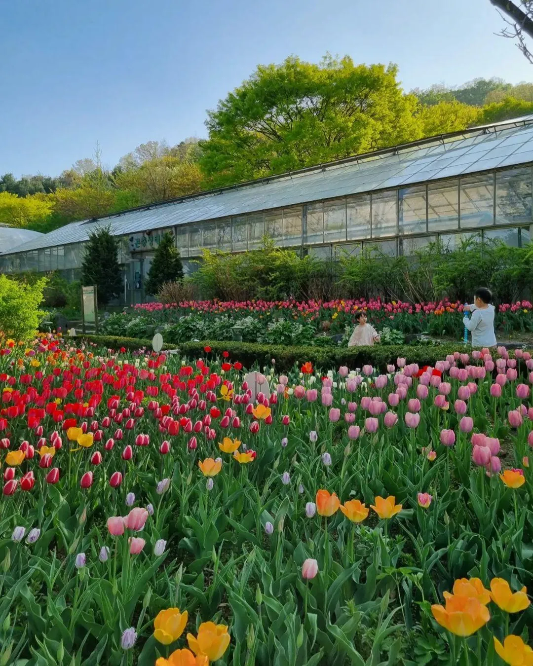 新丘大学植物園 写真 9