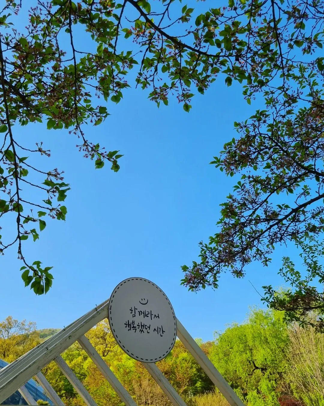 新丘大学植物園 写真 10