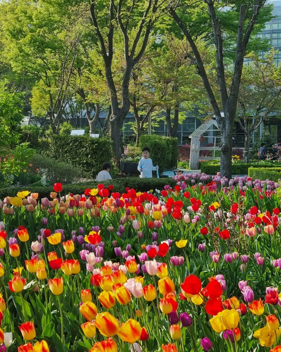新丘大学植物園 写真 12