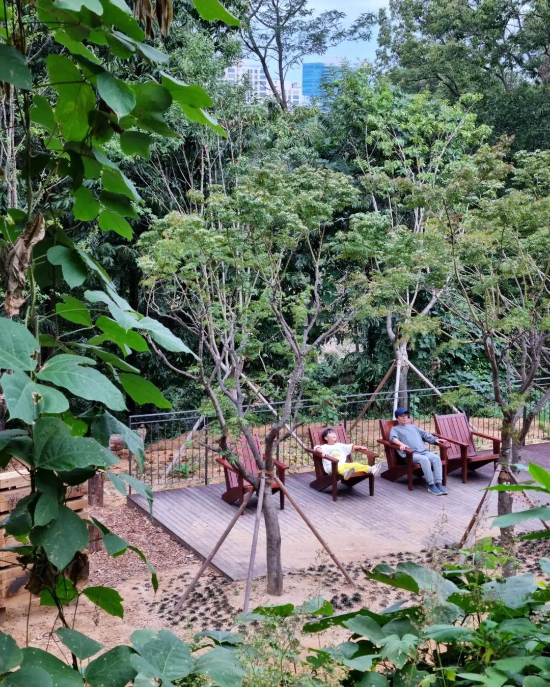 ヨンフンの森公園 写真 11
