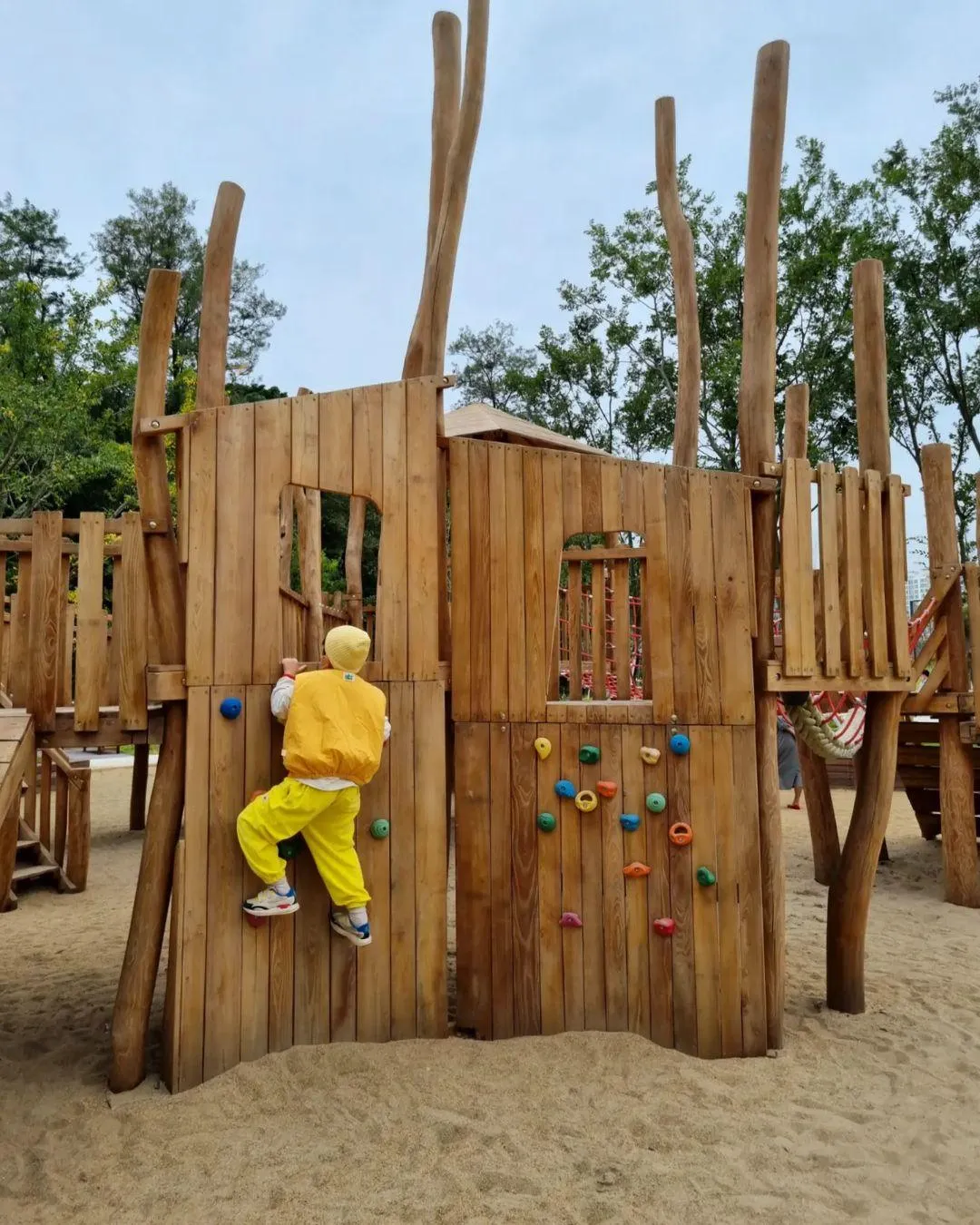 ヨンフンの森公園 写真 12