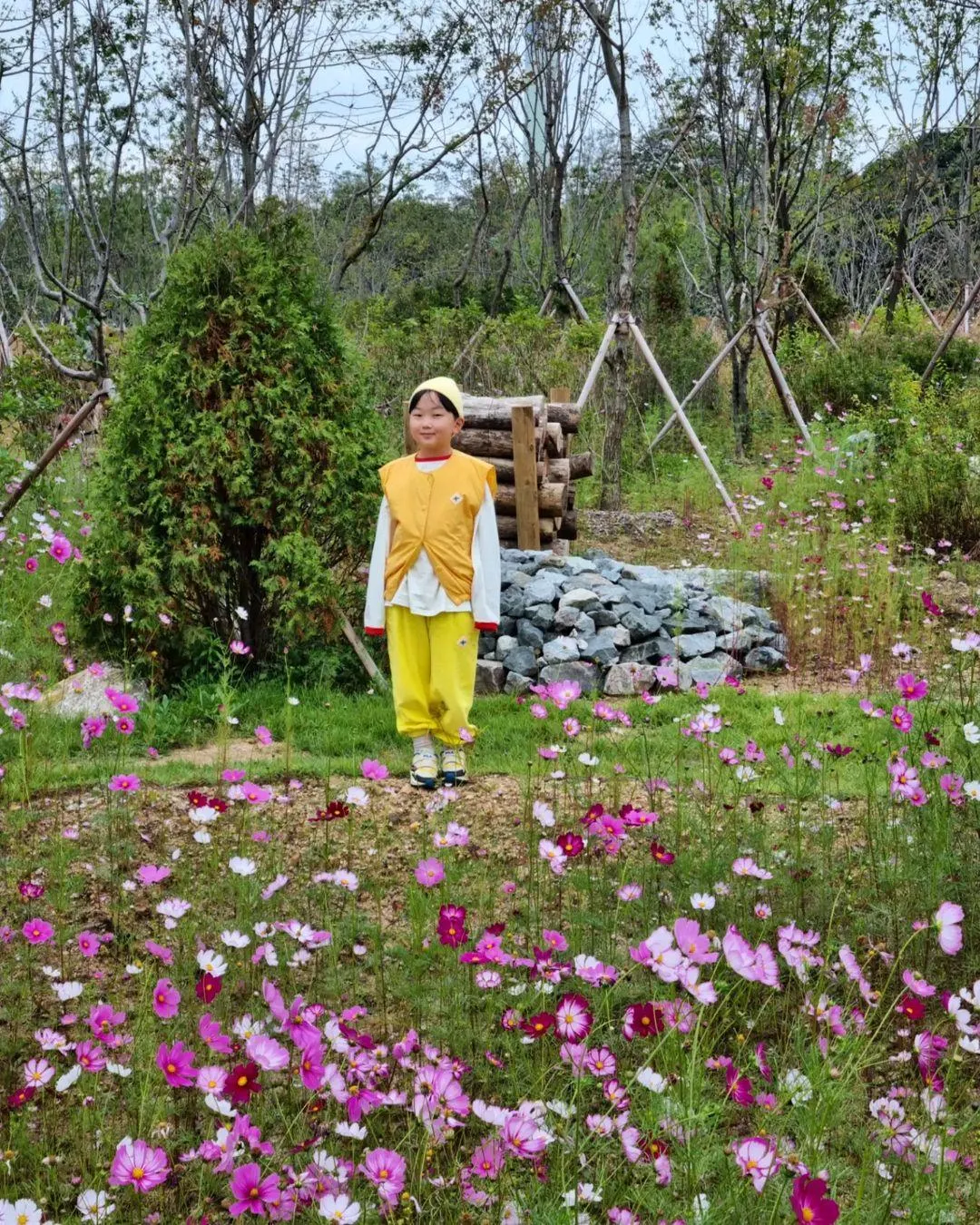 ヨンフンの森公園 写真 8