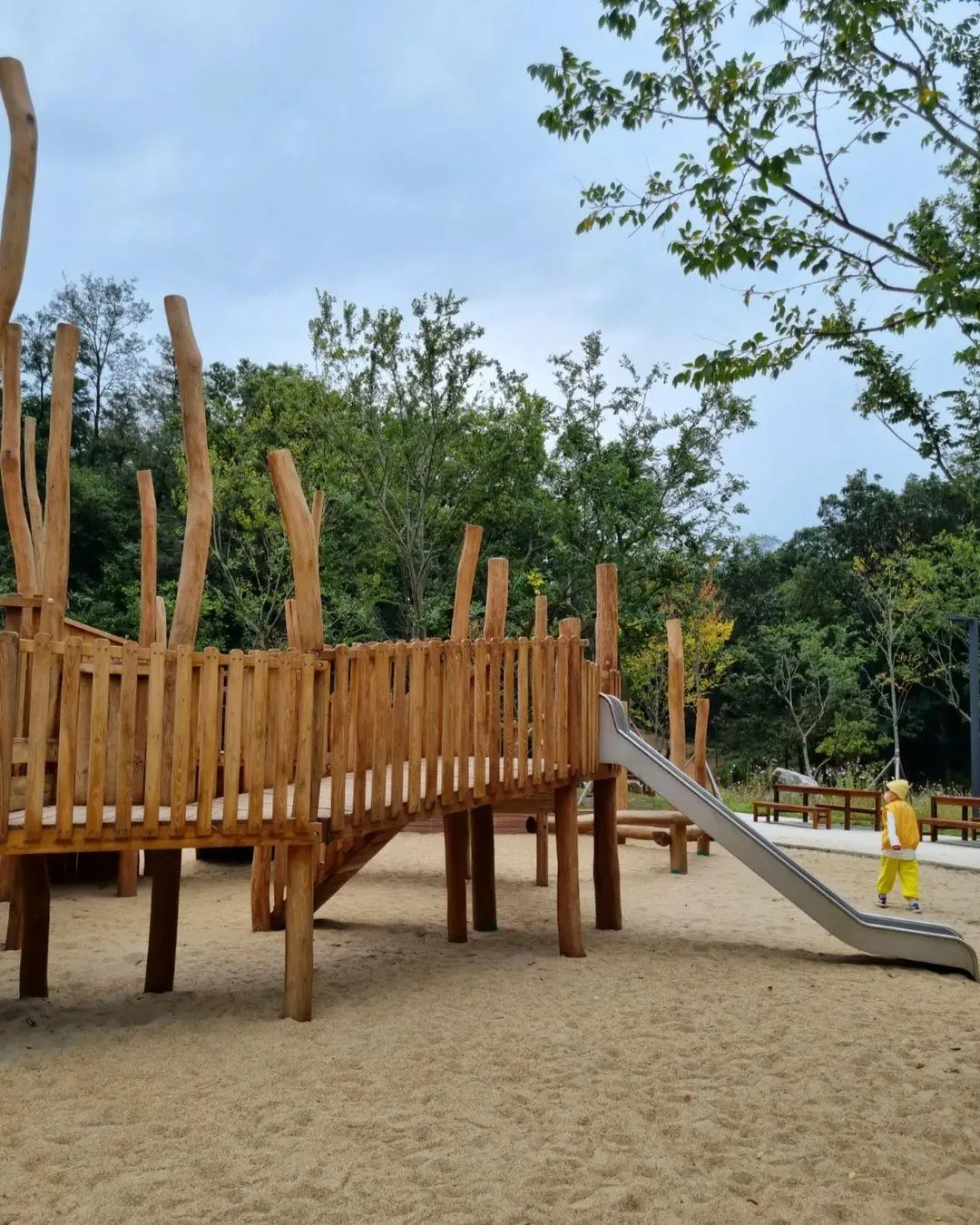 ヨンフンの森公園 写真 10