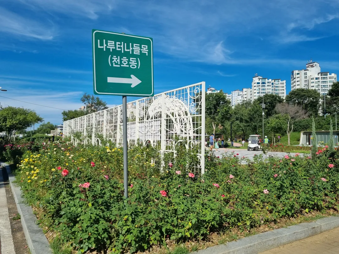 Gwangnaru Everyone's Playground photo 9