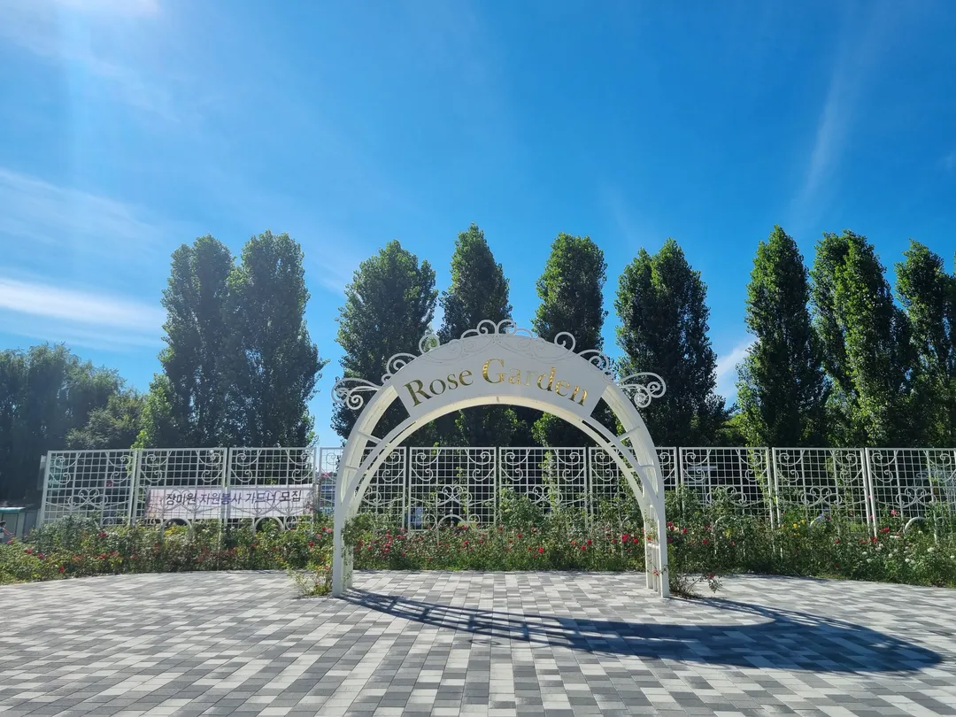 Gwangnaru Everyone's Playground photo 7