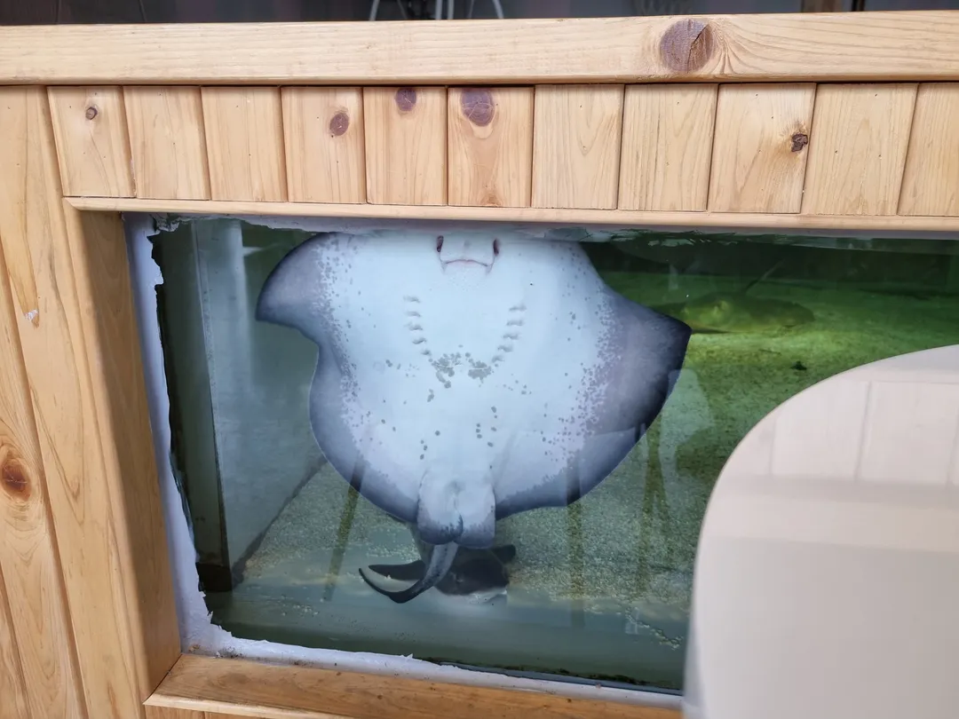 블루문카페 사진 6