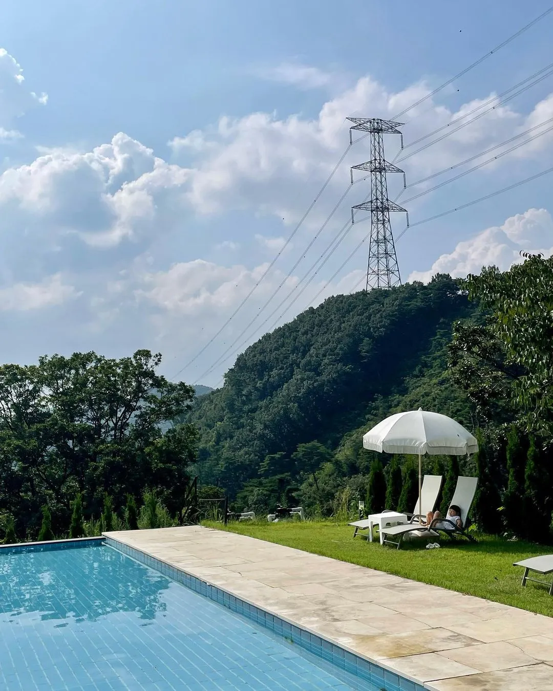 숲너울 사진 8