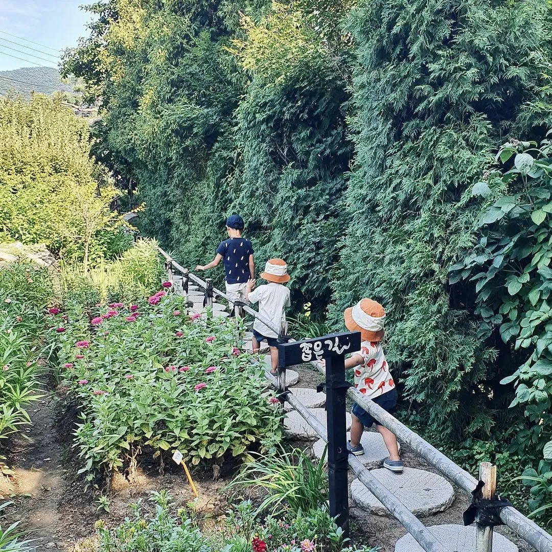 수생식물학습원