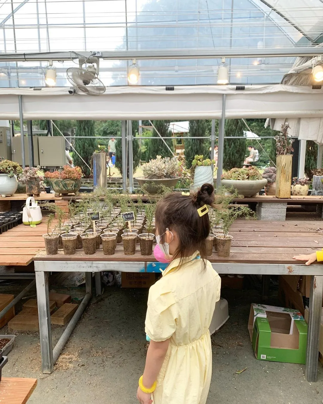 Farm Dawon photo 9