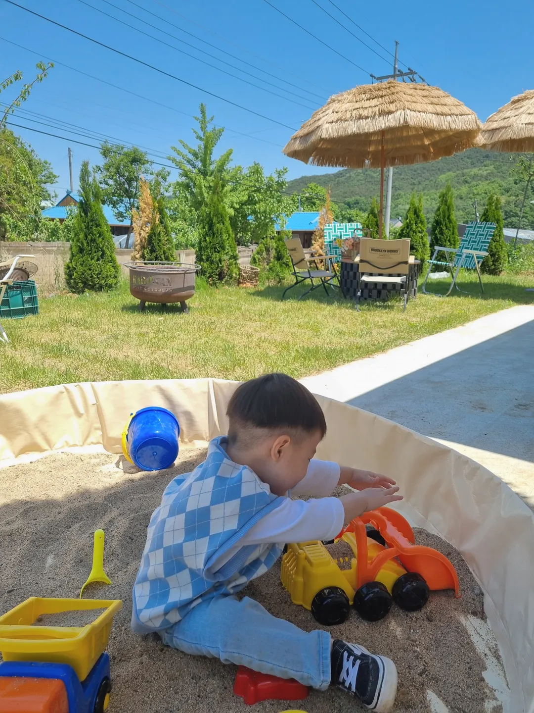 허브로치 사진 14