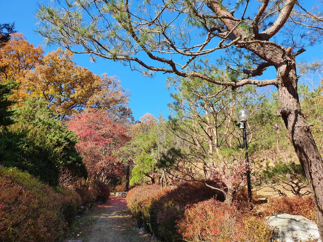 Butterwood photo 9