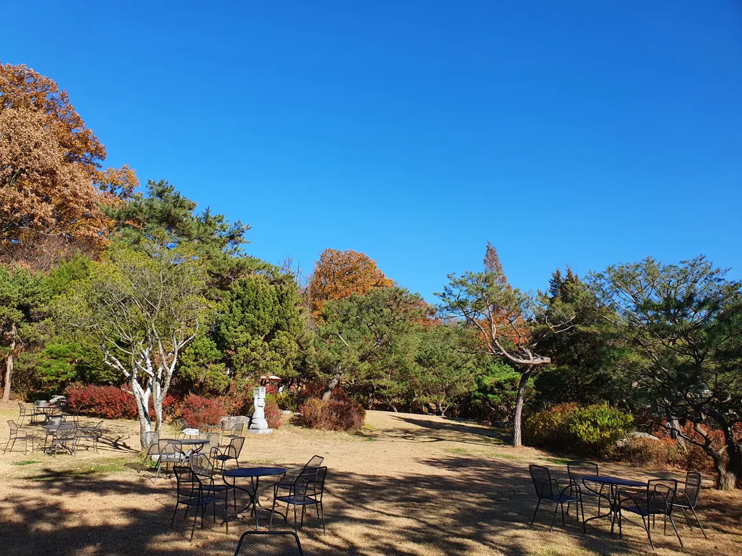 Butterwood photo 10