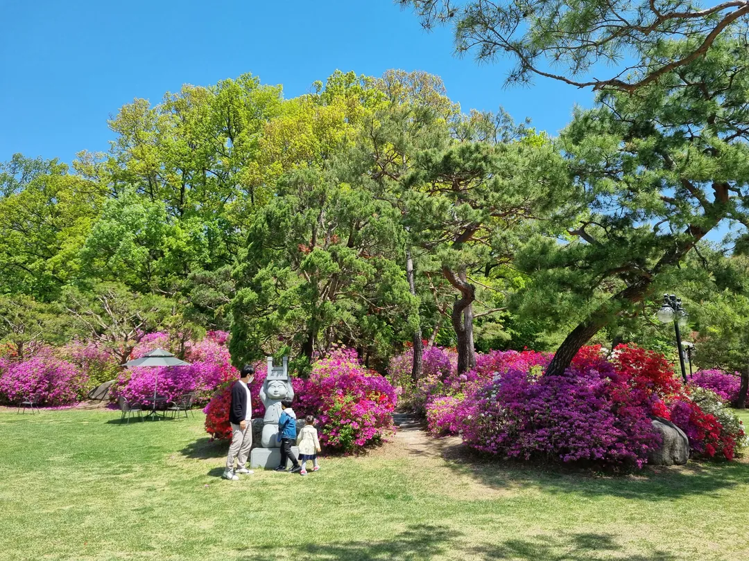 Butterwood photo 11