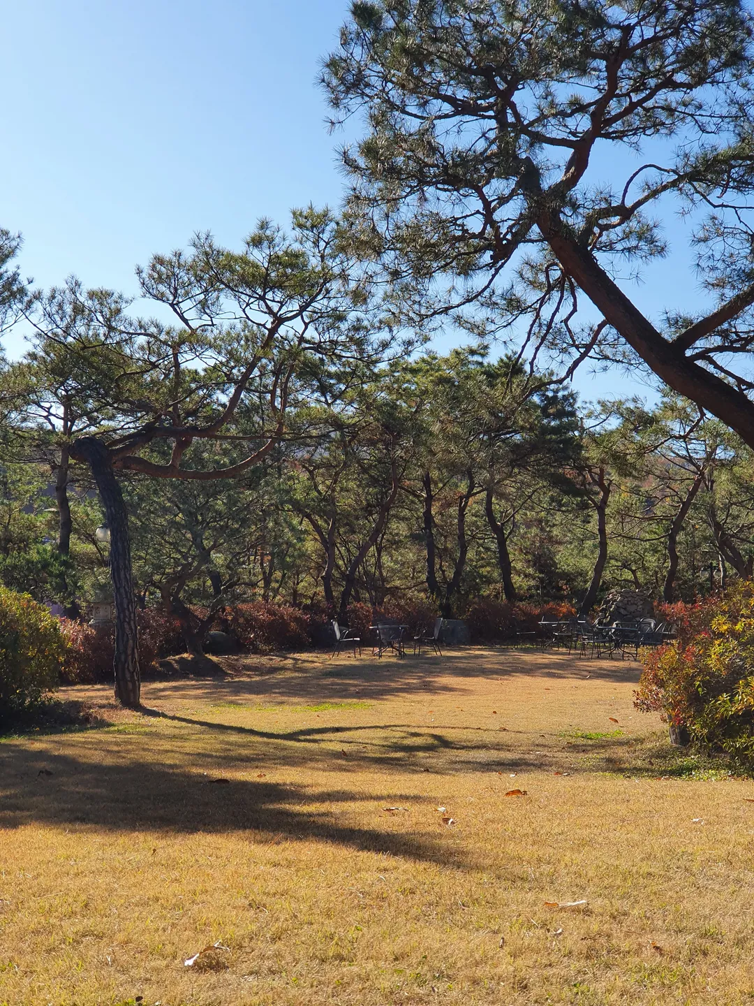 Butterwood photo 14