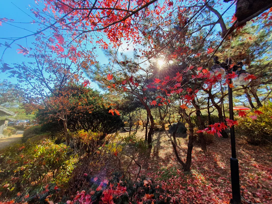 Butterwood photo 15