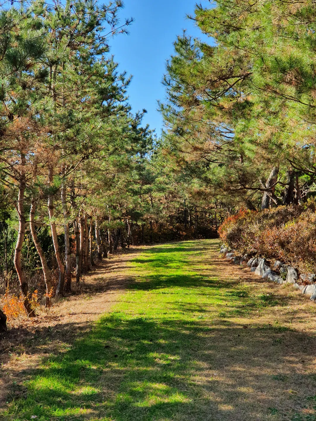 Butterwood photo 22