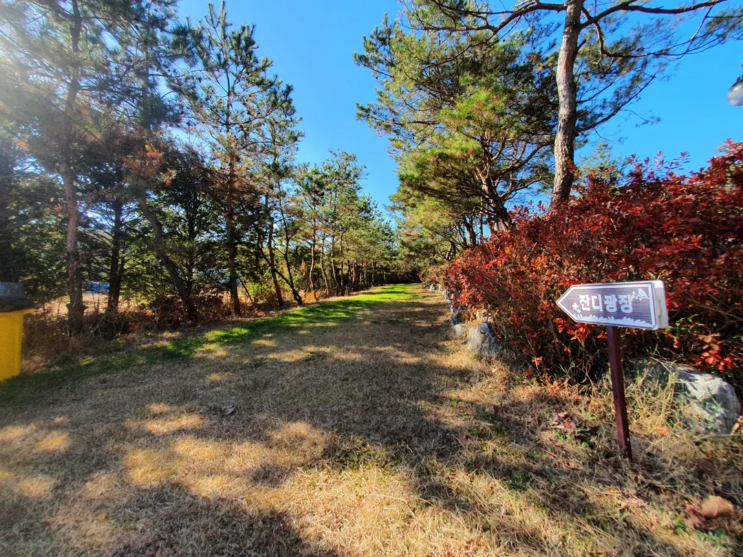 Butterwood photo 23