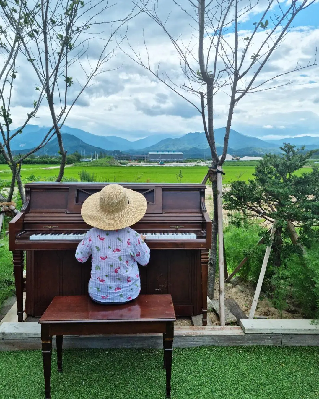 앤트리카페