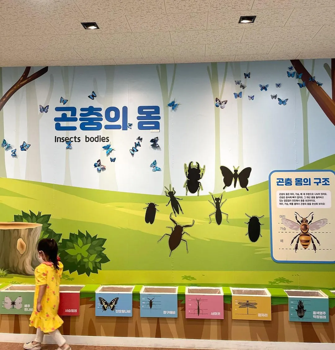 Daegu Green Learning Center photo 7
