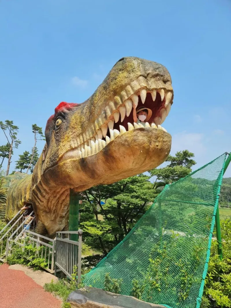 アンミョンド ジュラシック博物館 写真 14