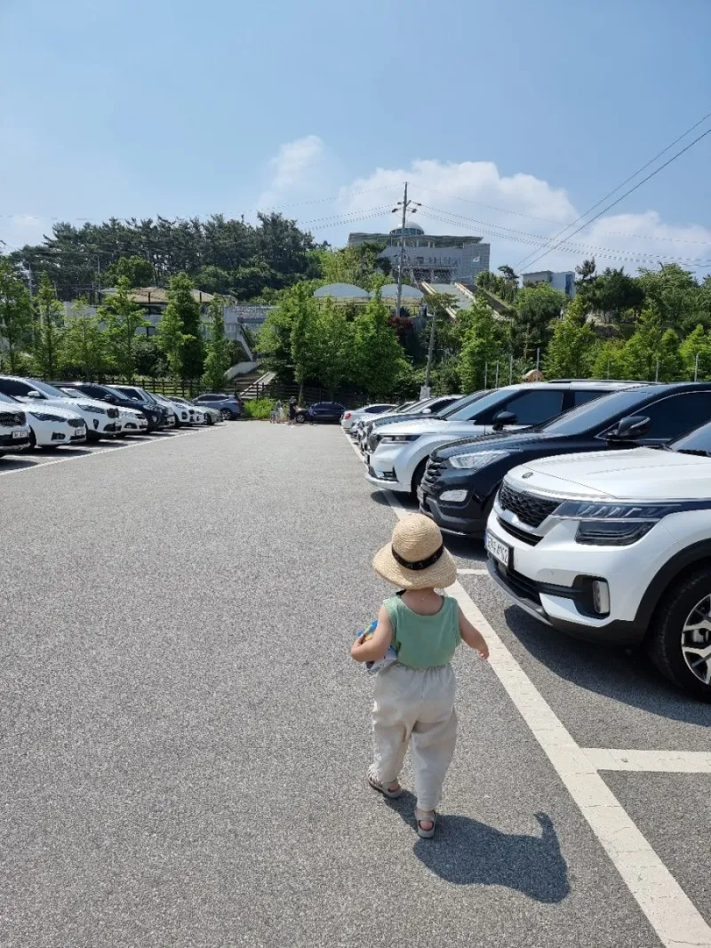 안면도 쥬라기 박물관