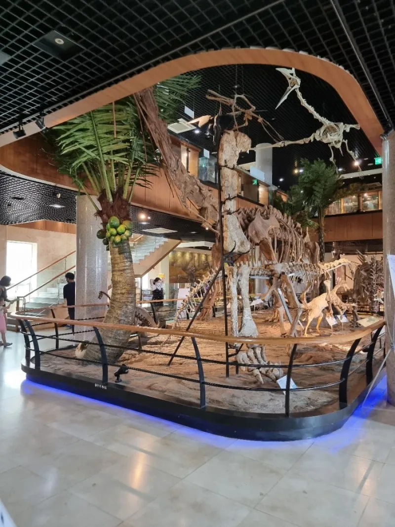 アンミョンド ジュラシック博物館 写真 26
