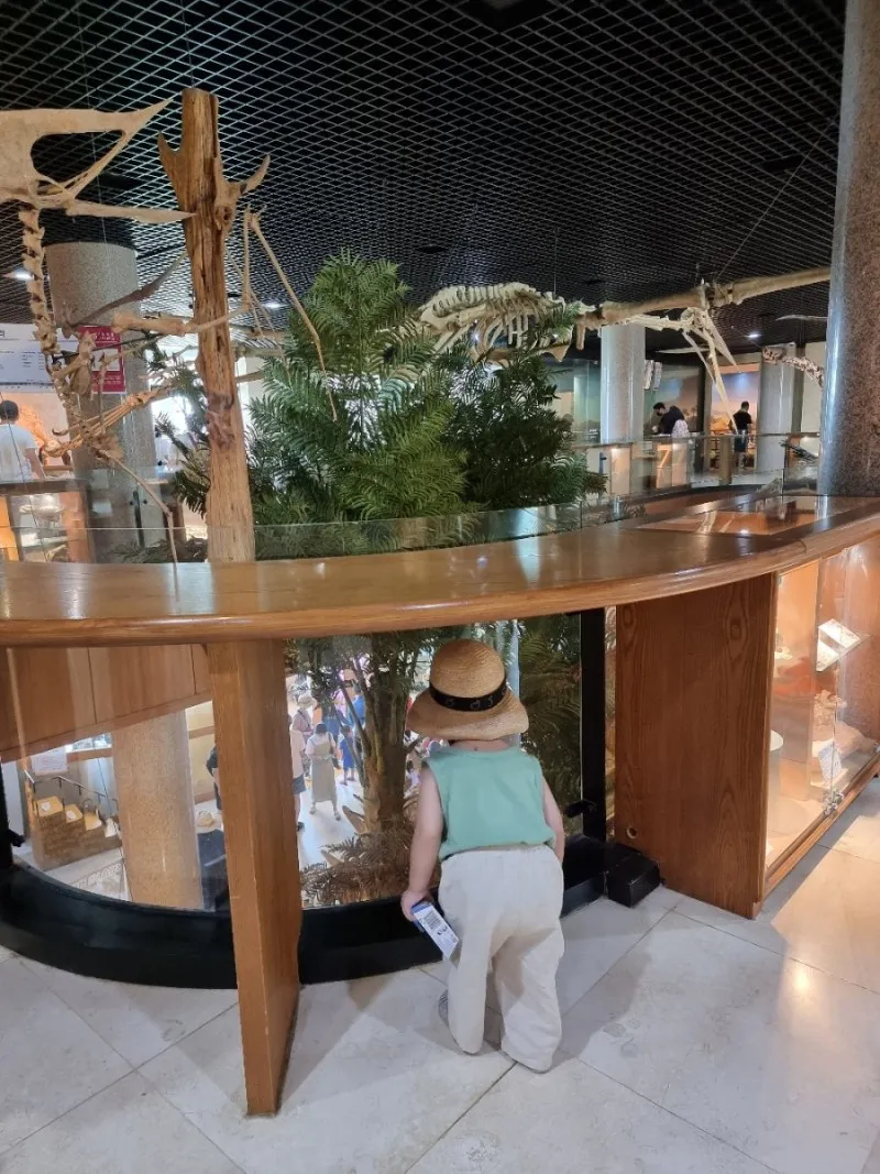 アンミョンド ジュラシック博物館 写真 27