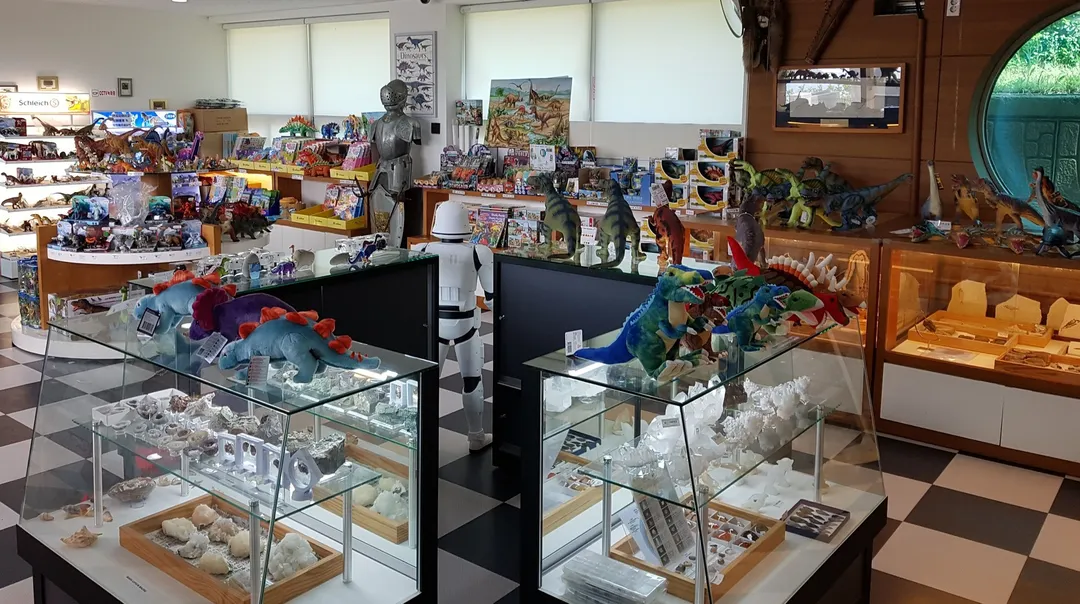 アンミョンド ジュラシック博物館 写真 47